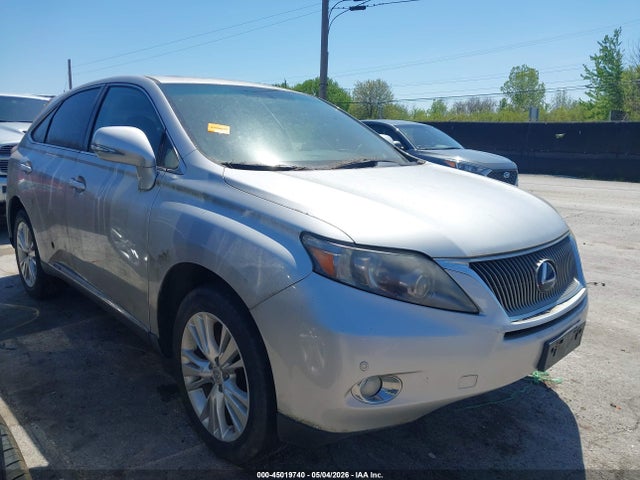 Salvage Lexus RX Image