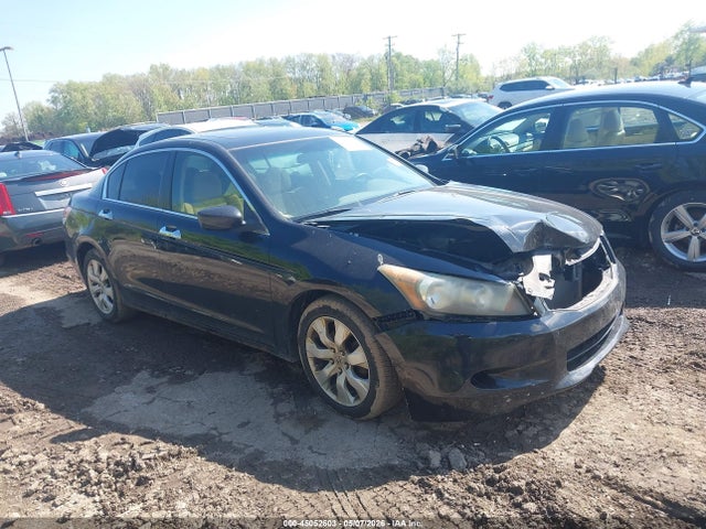 Salvage Honda Accord Image