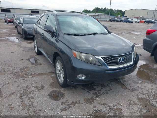 Salvage Lexus RX Image