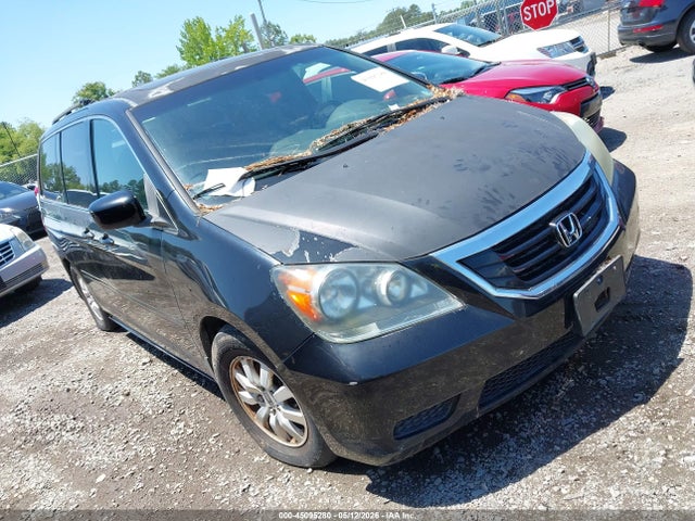 Salvage Honda Odyssey Image