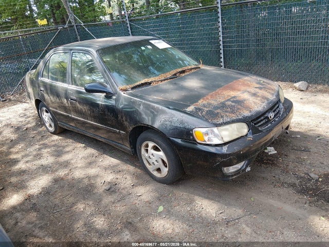 Salvage Toyota Corolla Image