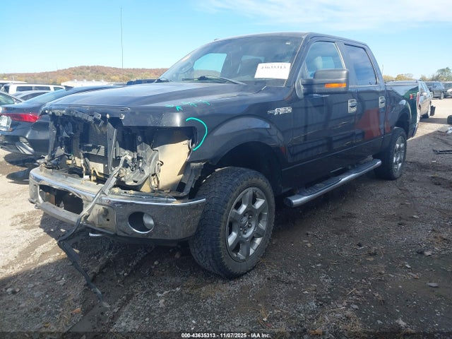 Ford F-150 Xlt