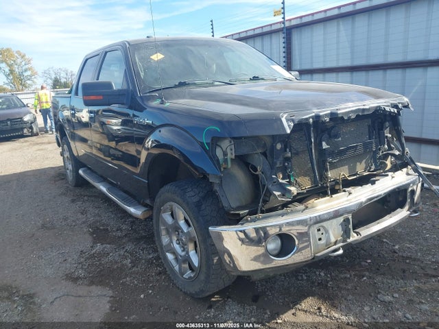 Salvage Ford F-150 Image