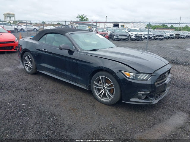 Salvage Ford Mustang Image
