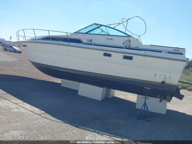 Sea Ray Other