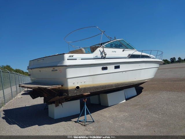 Sea Ray Other