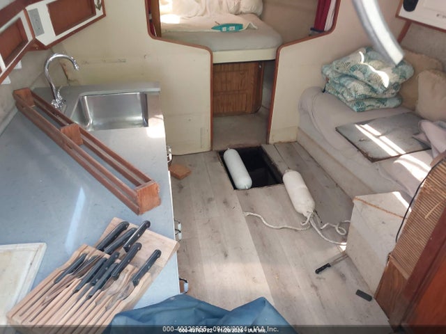 Sea Ray Other