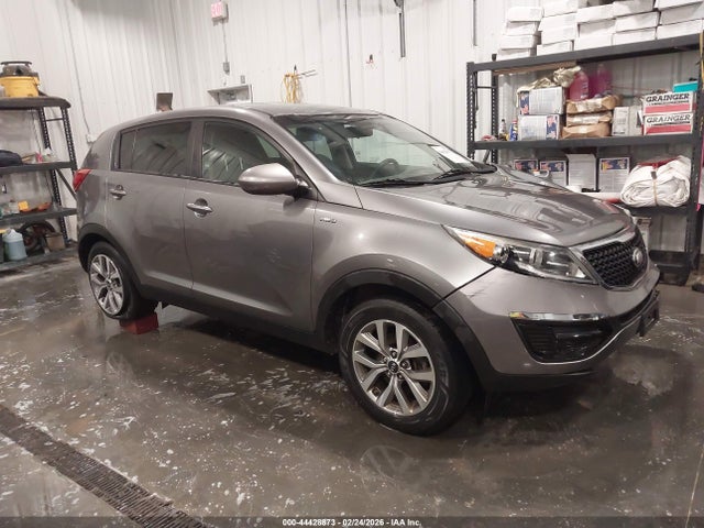 Salvage Kia Sportage Image