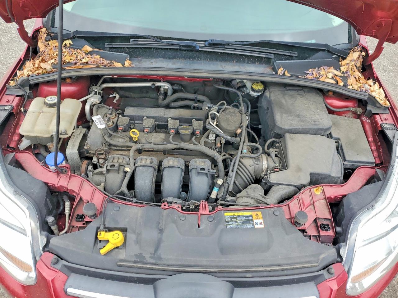 Ford Focus Se