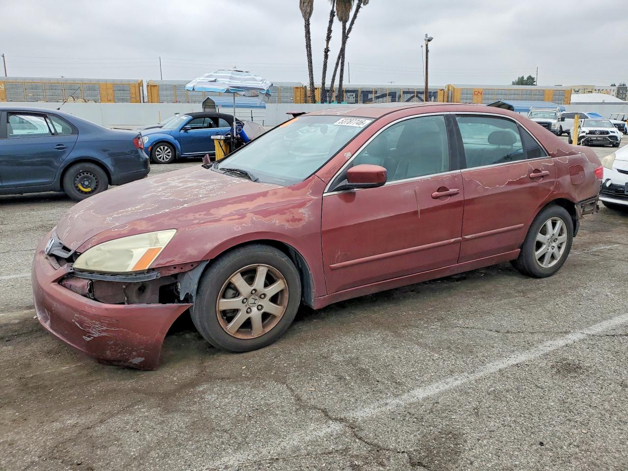 Salvage Honda Accord Image