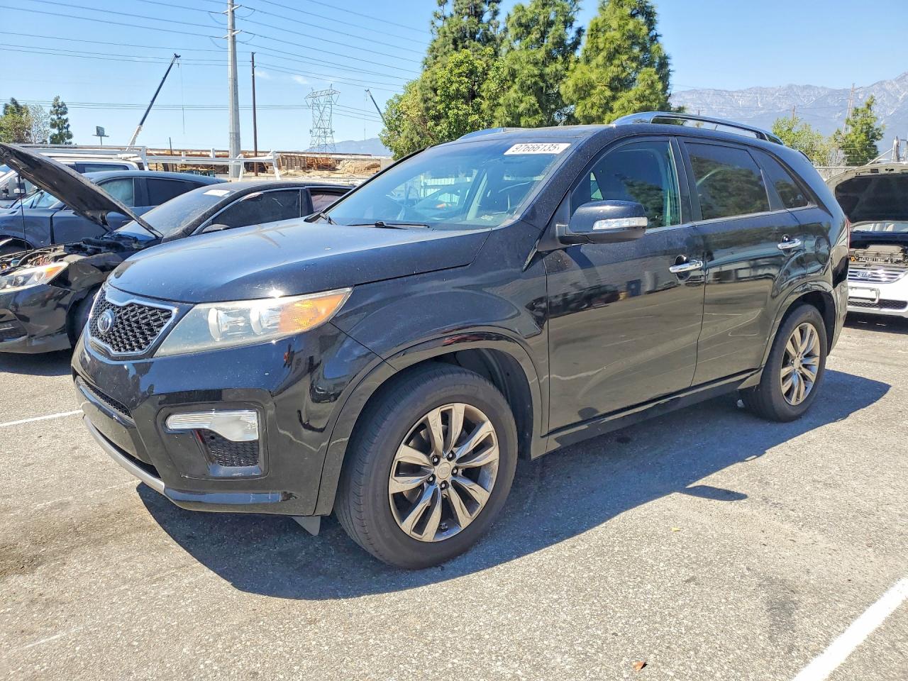 Salvage Kia Sorento Image