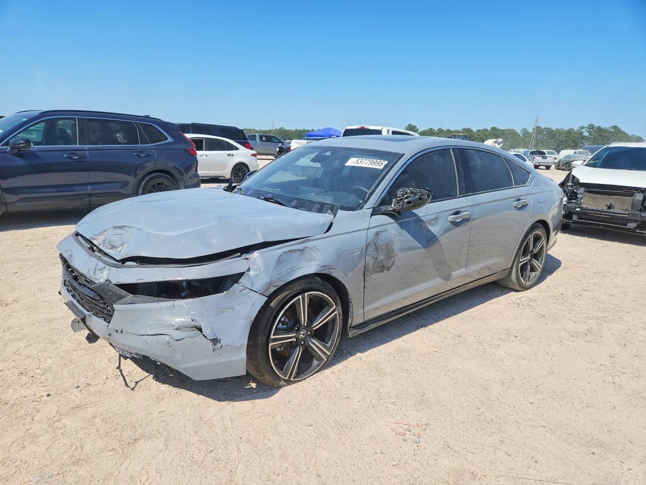 Salvage Honda Accord Image
