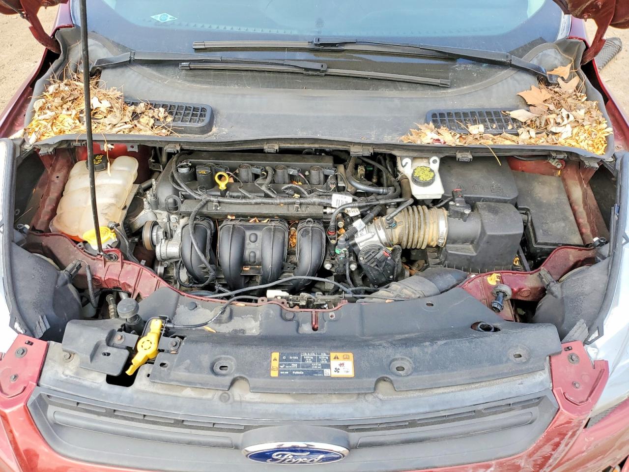 Ford Escape S
