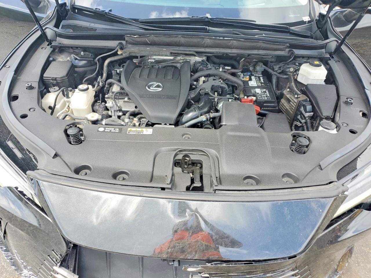 Lexus RX Luxury