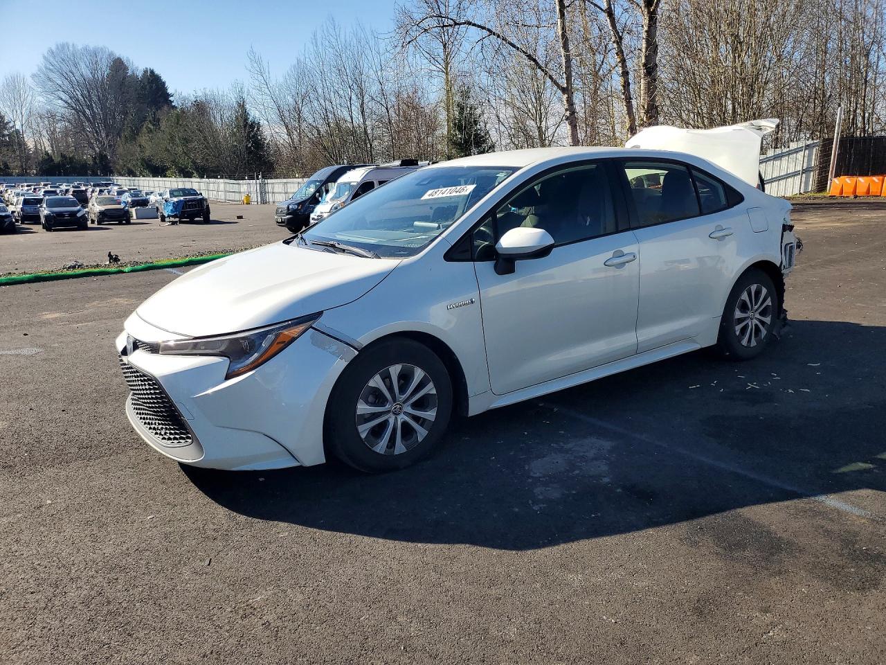 Salvage Toyota Corolla Image