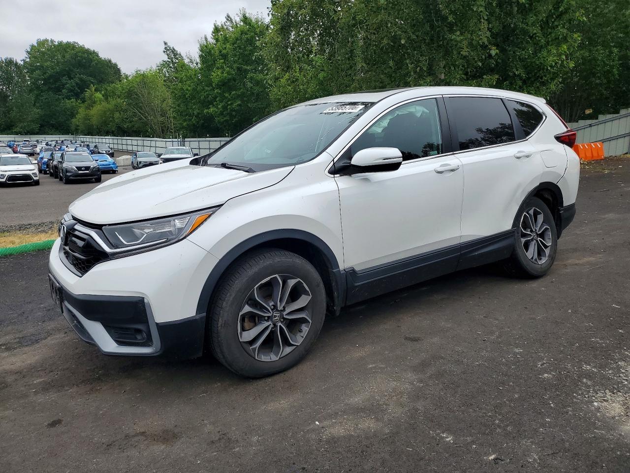 Salvage Honda Crv Image