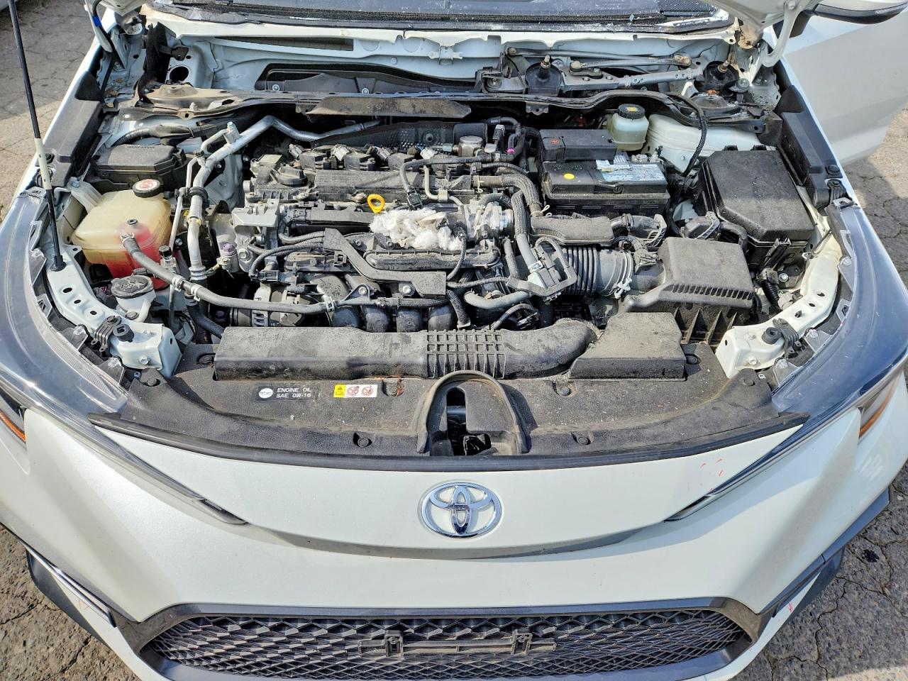 Toyota Corolla Xse