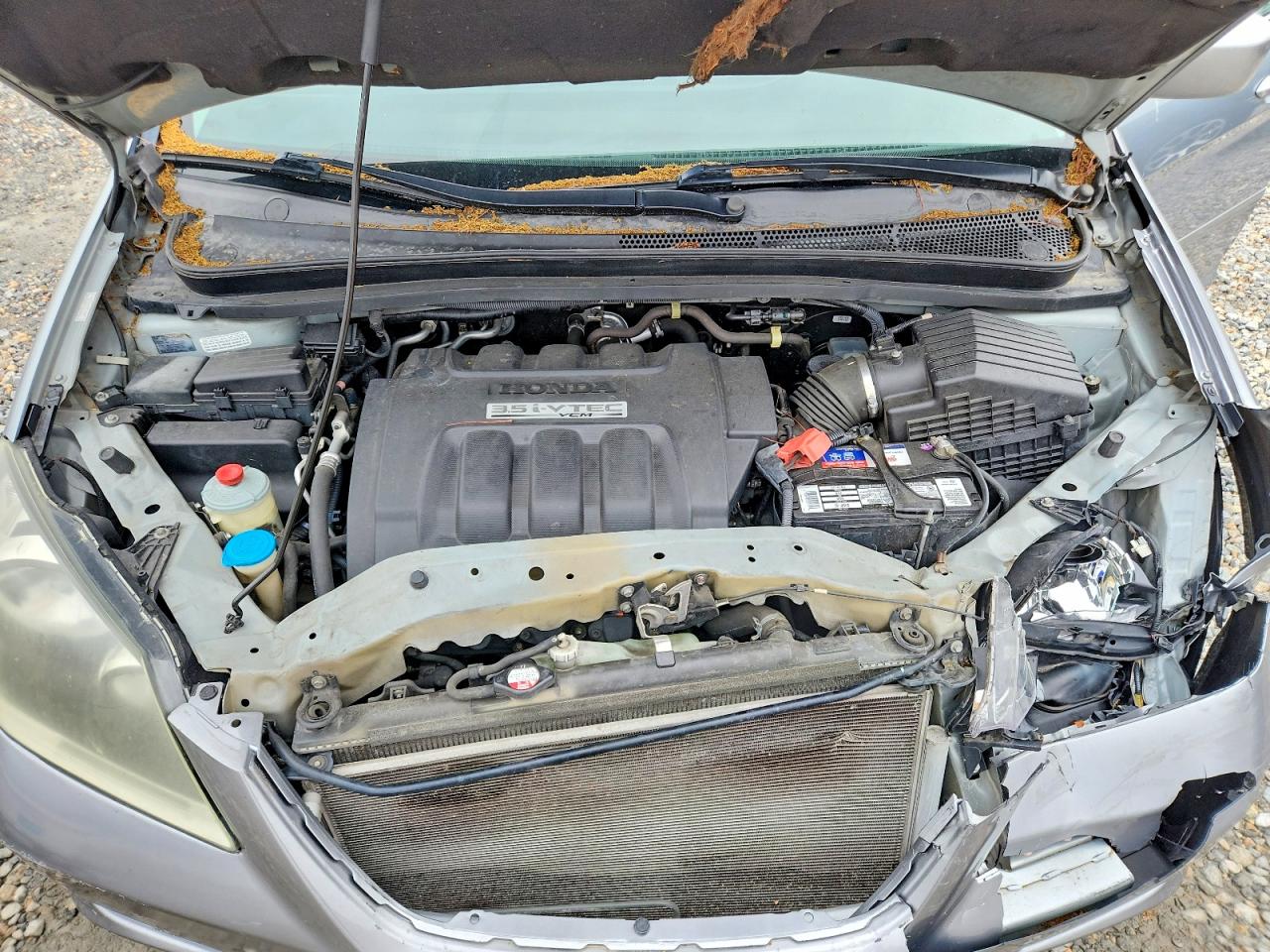 Honda Odyssey Exl