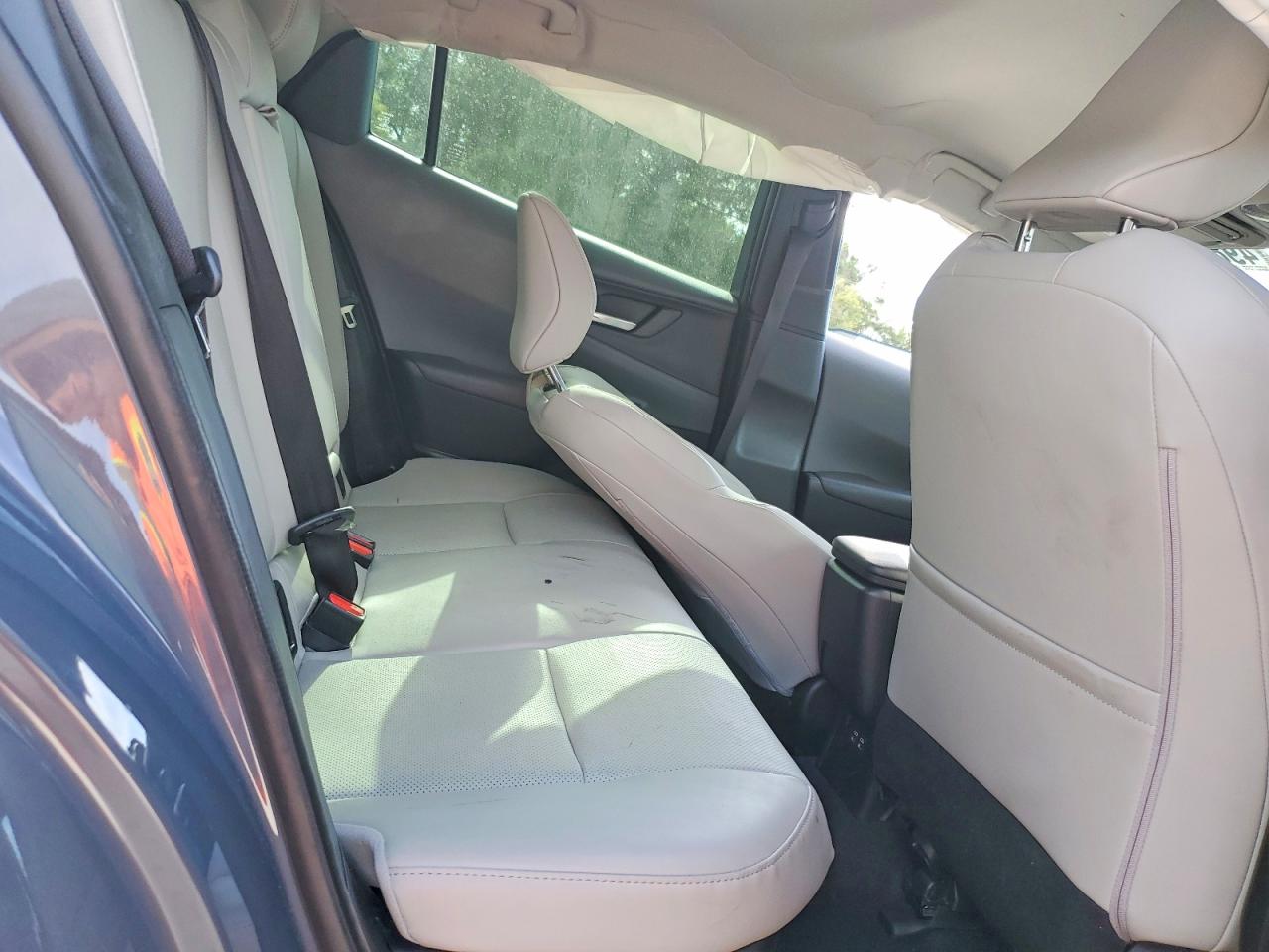 Toyota Prius Xle