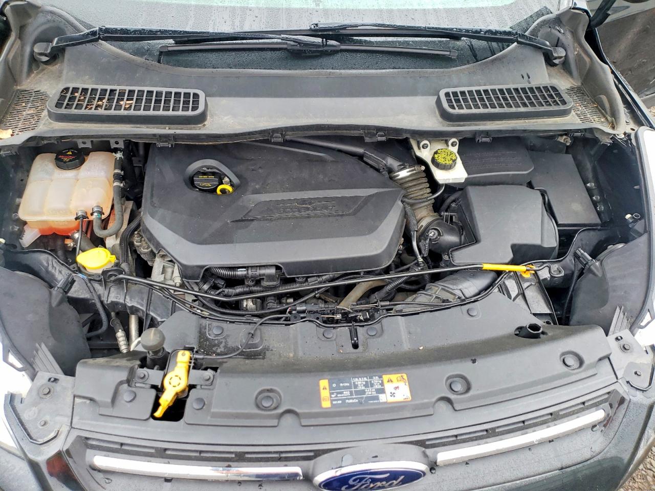 Ford Escape Se