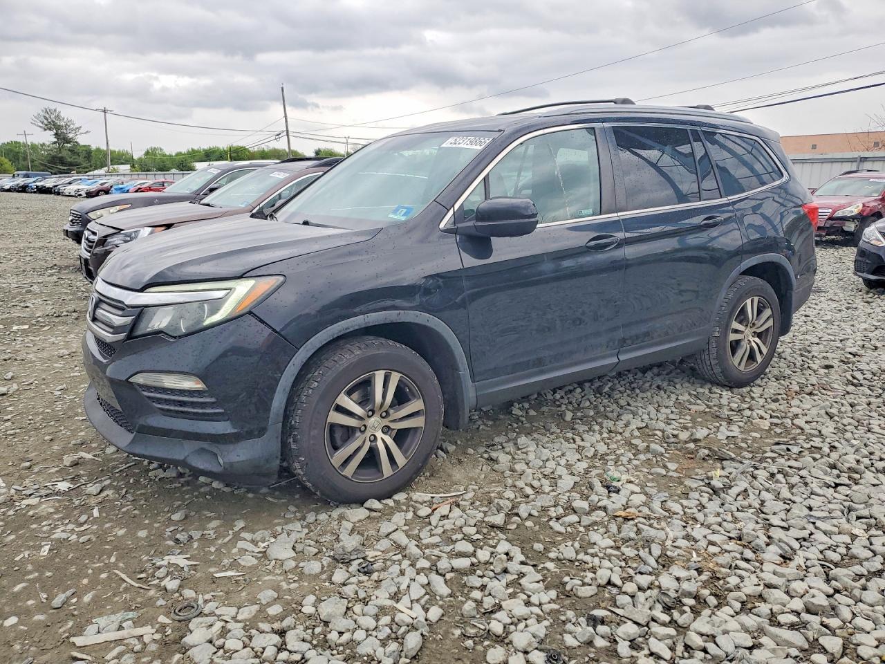 Salvage Honda Pilot Image