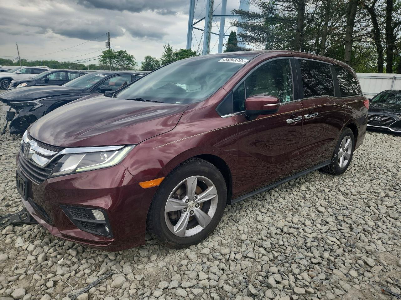 Salvage Honda Odyssey Image