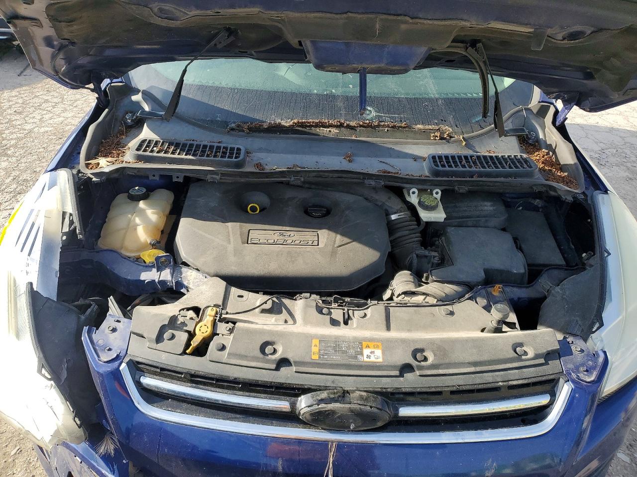 Ford Escape Sel