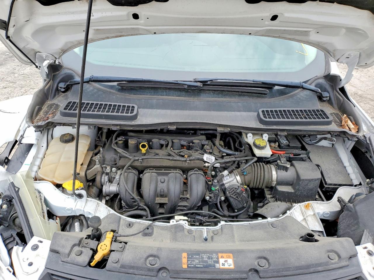 Ford Escape S
