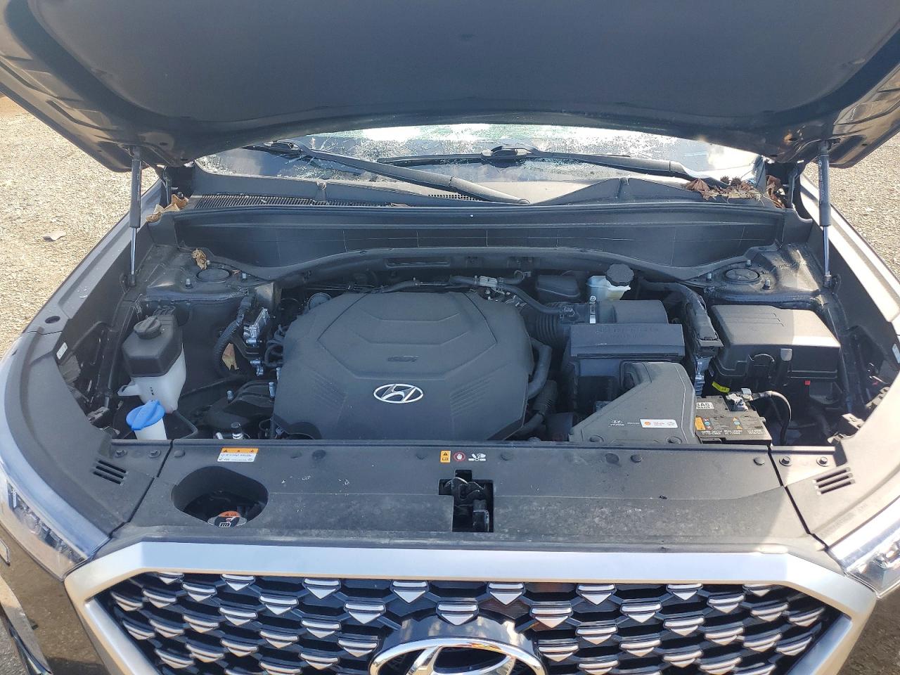 Hyundai PALISADE Calligraphy