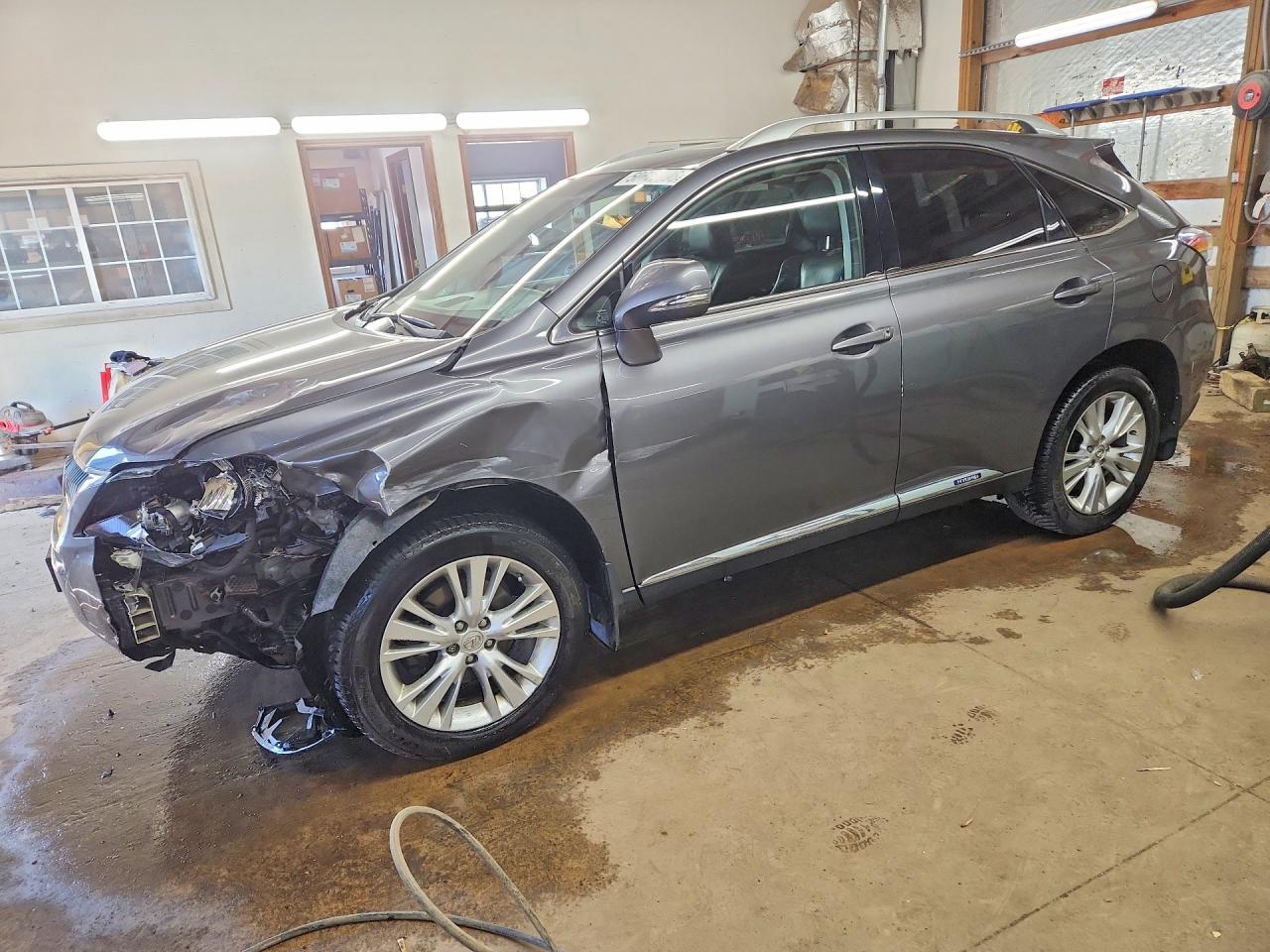 Salvage Lexus RX Image