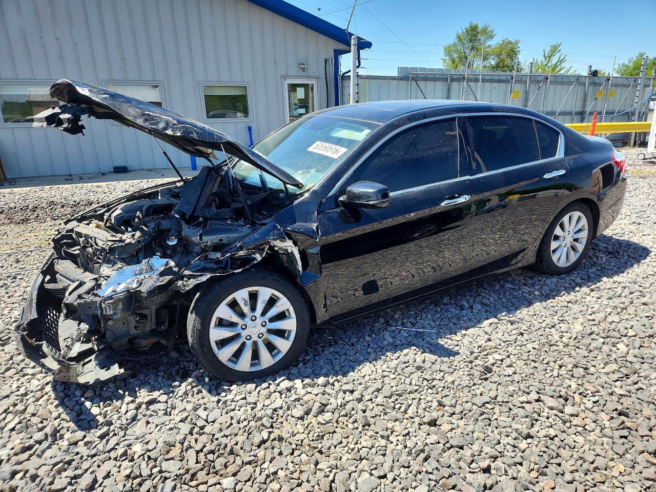 Salvage Honda Accord Image