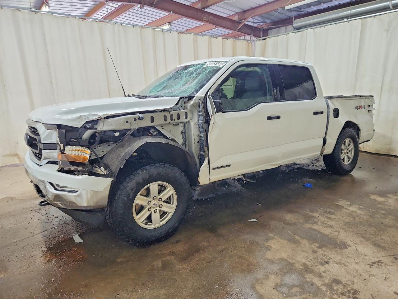 Salvage Ford F-150 Image