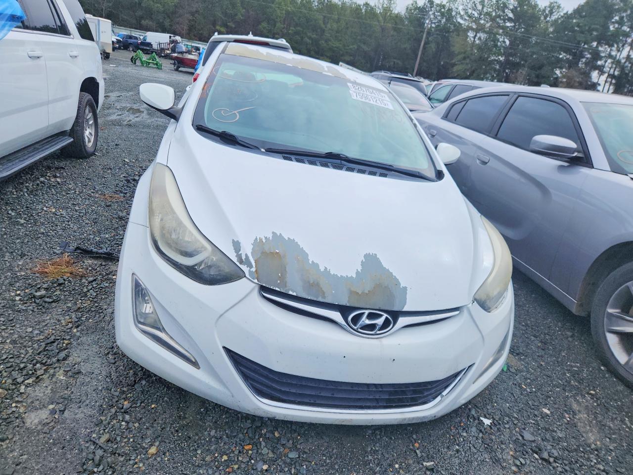 Hyundai ELANTRA Se