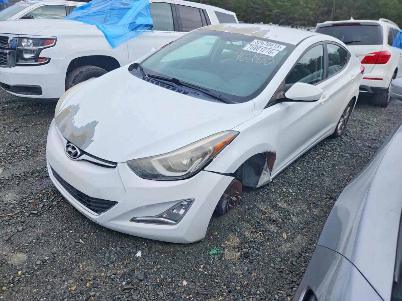 Salvage Hyundai ELANTRA Image