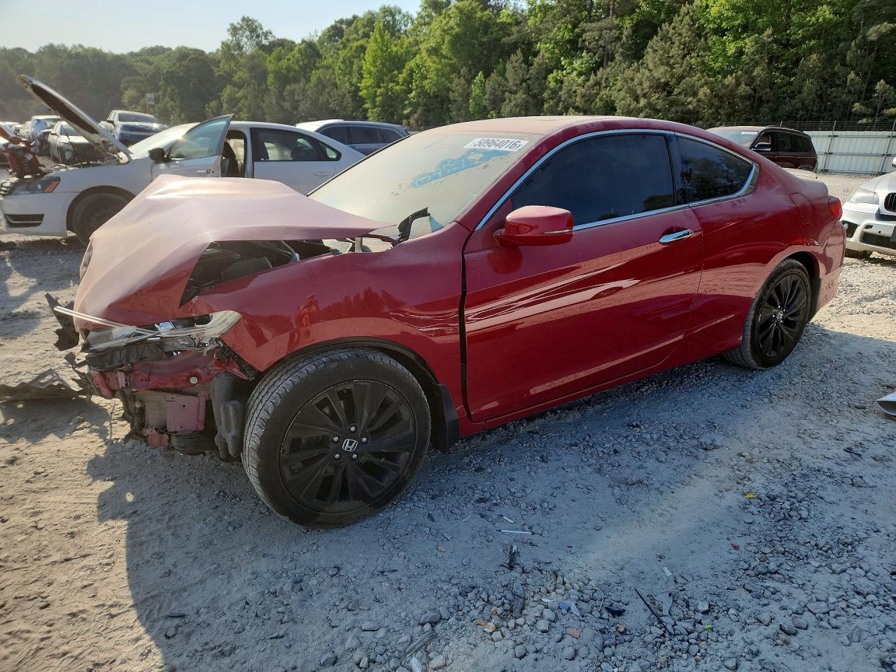 Salvage Honda Accord Image