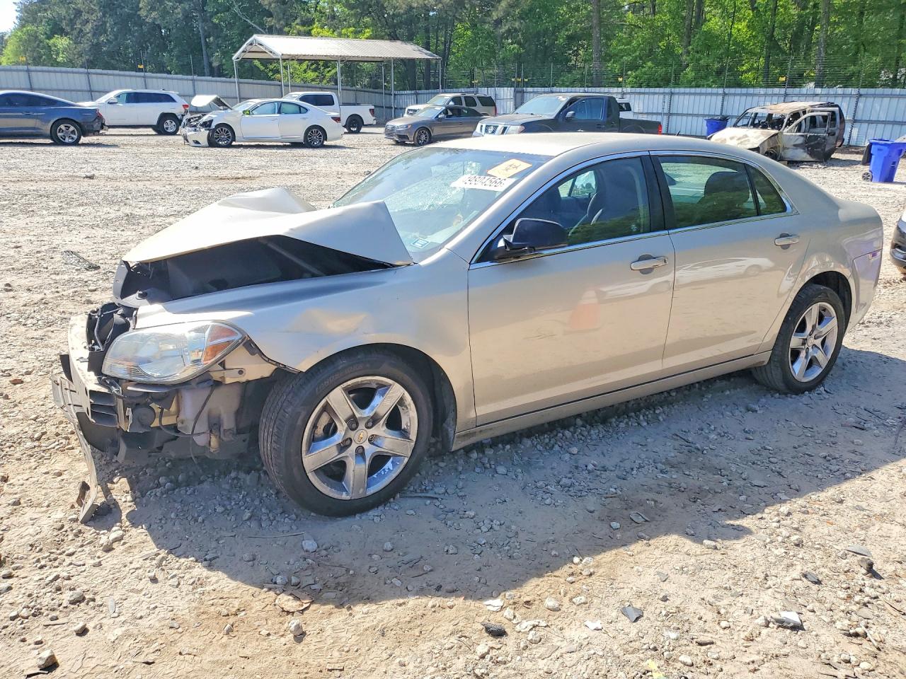 Salvage Chevrolet Malibu Image