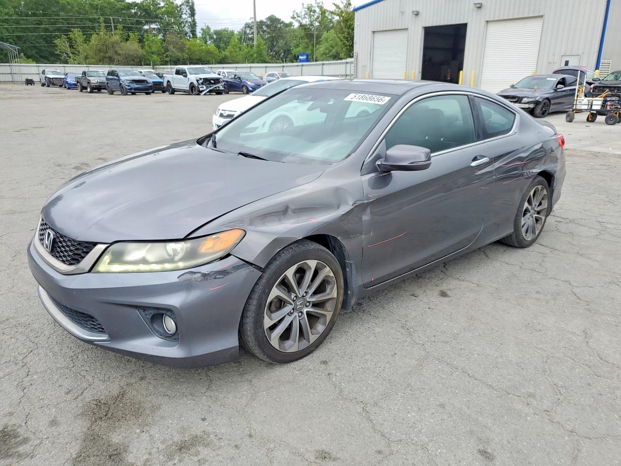 Salvage Honda Accord Image
