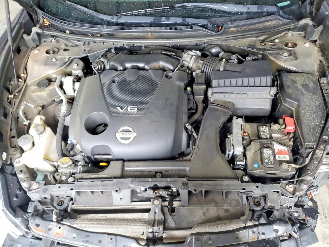 Nissan Maxima 3.5 S