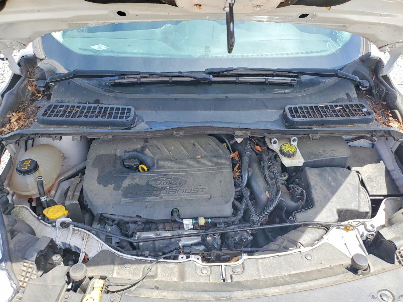 Ford Escape Se