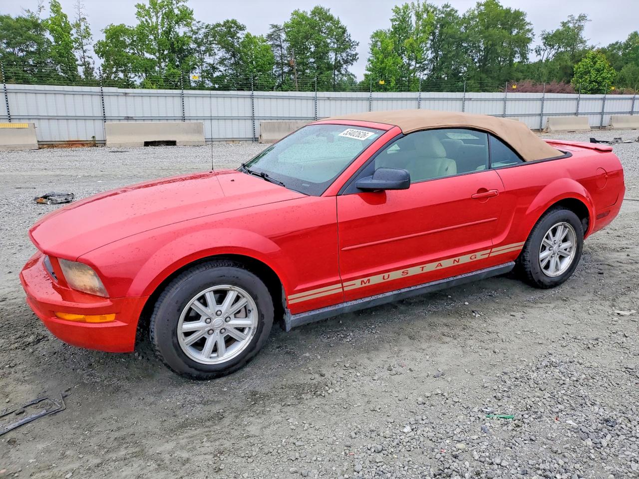 Salvage Ford Mustang Image