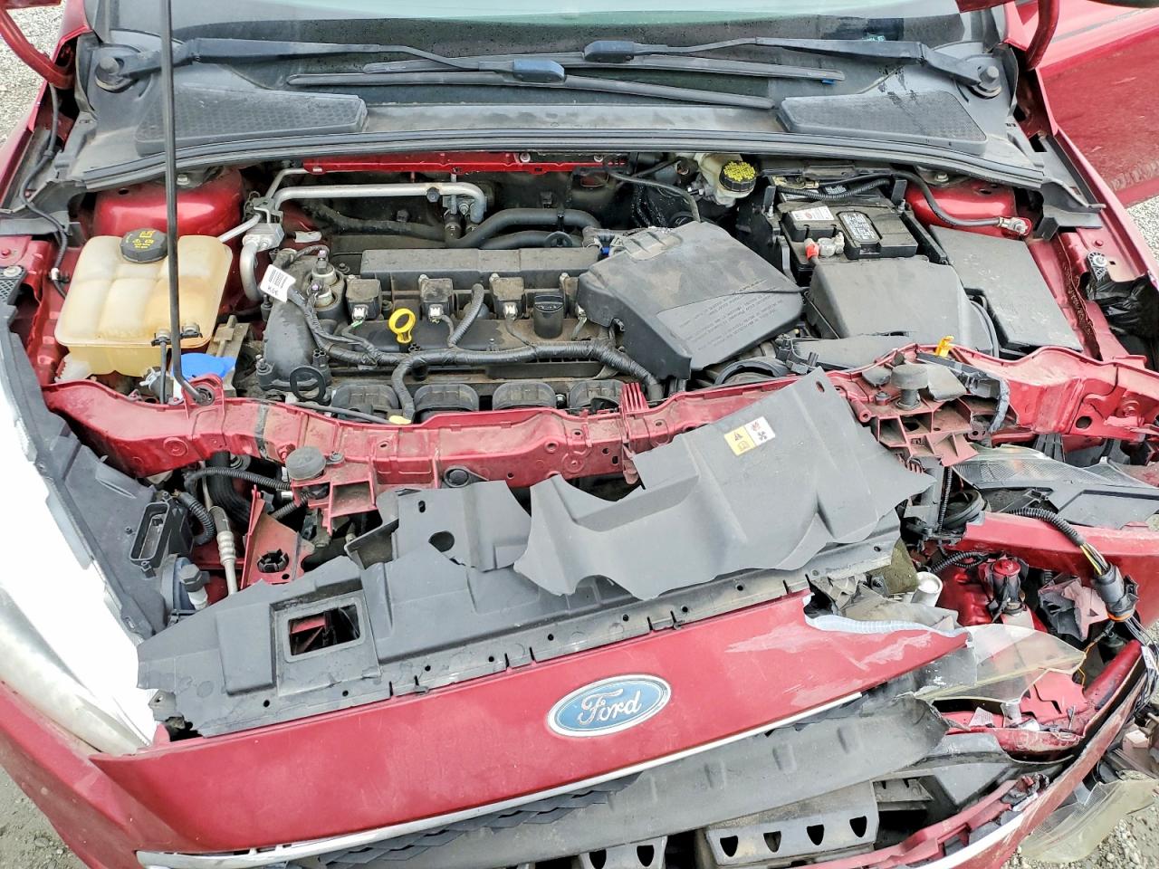 Ford Focus Se