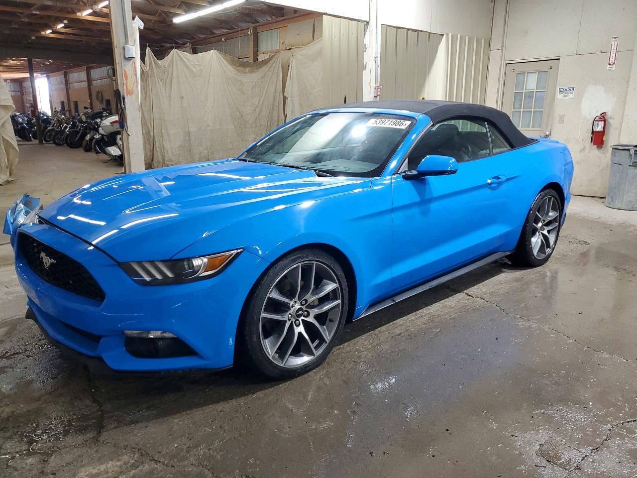 Salvage Ford Mustang Image