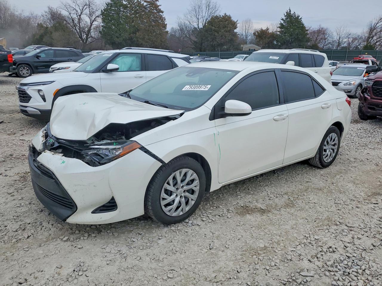 Salvage Toyota Corolla Image