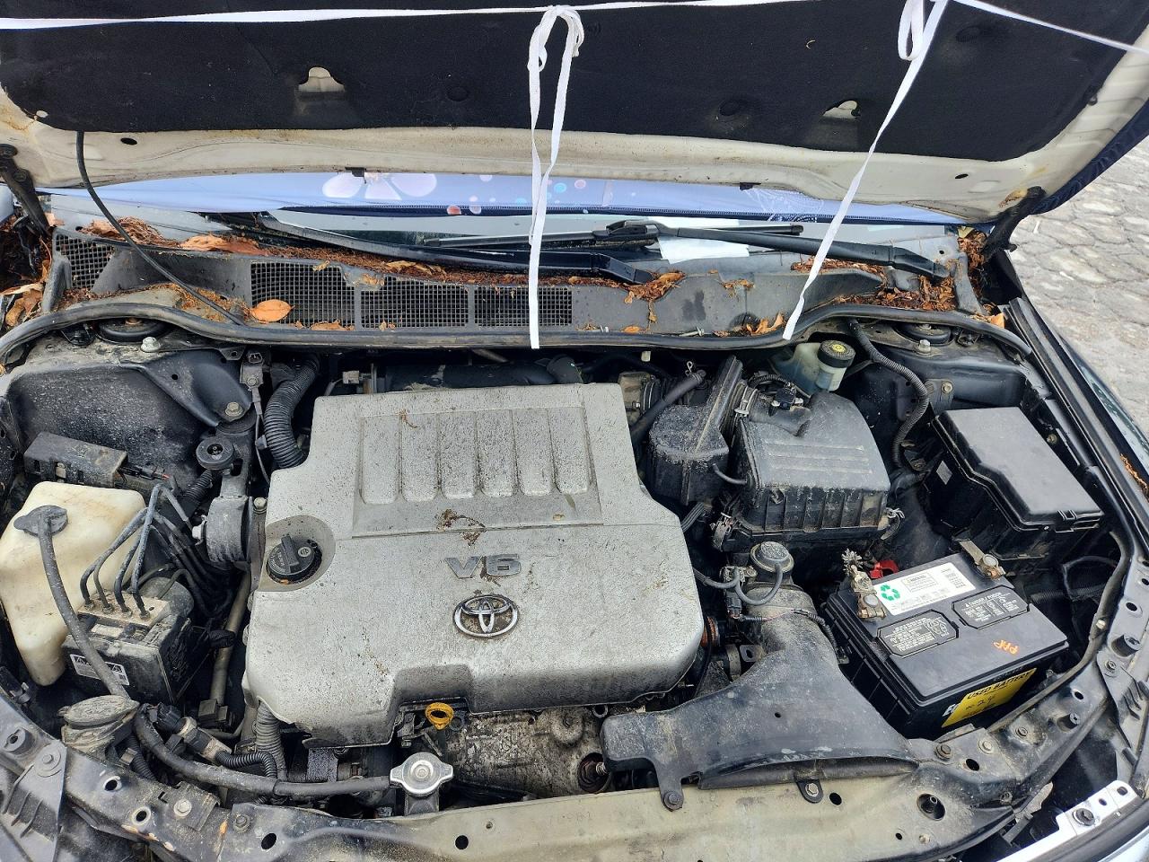Toyota Venza Fwd Fwd V6