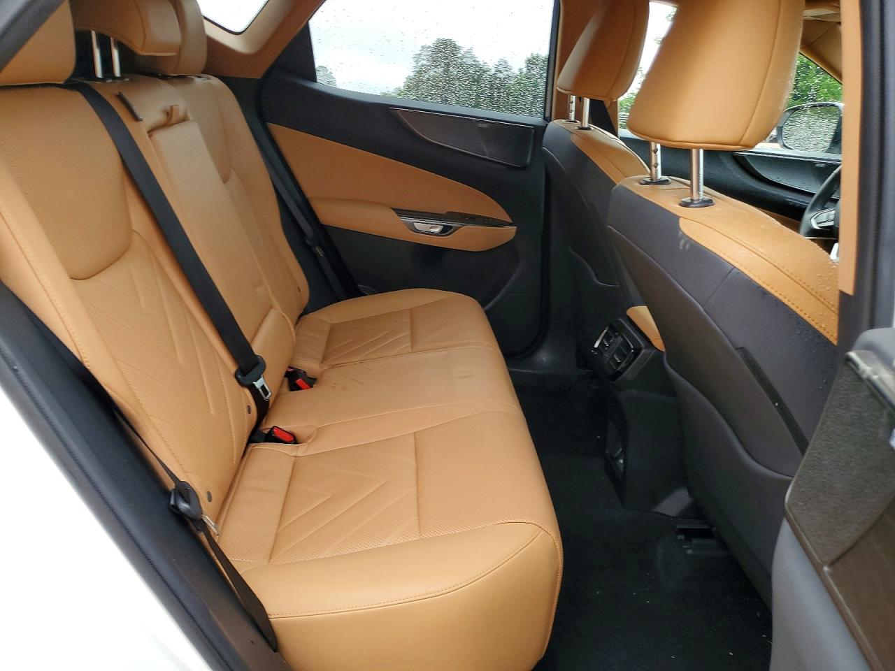 Lexus NX 350 Luxury