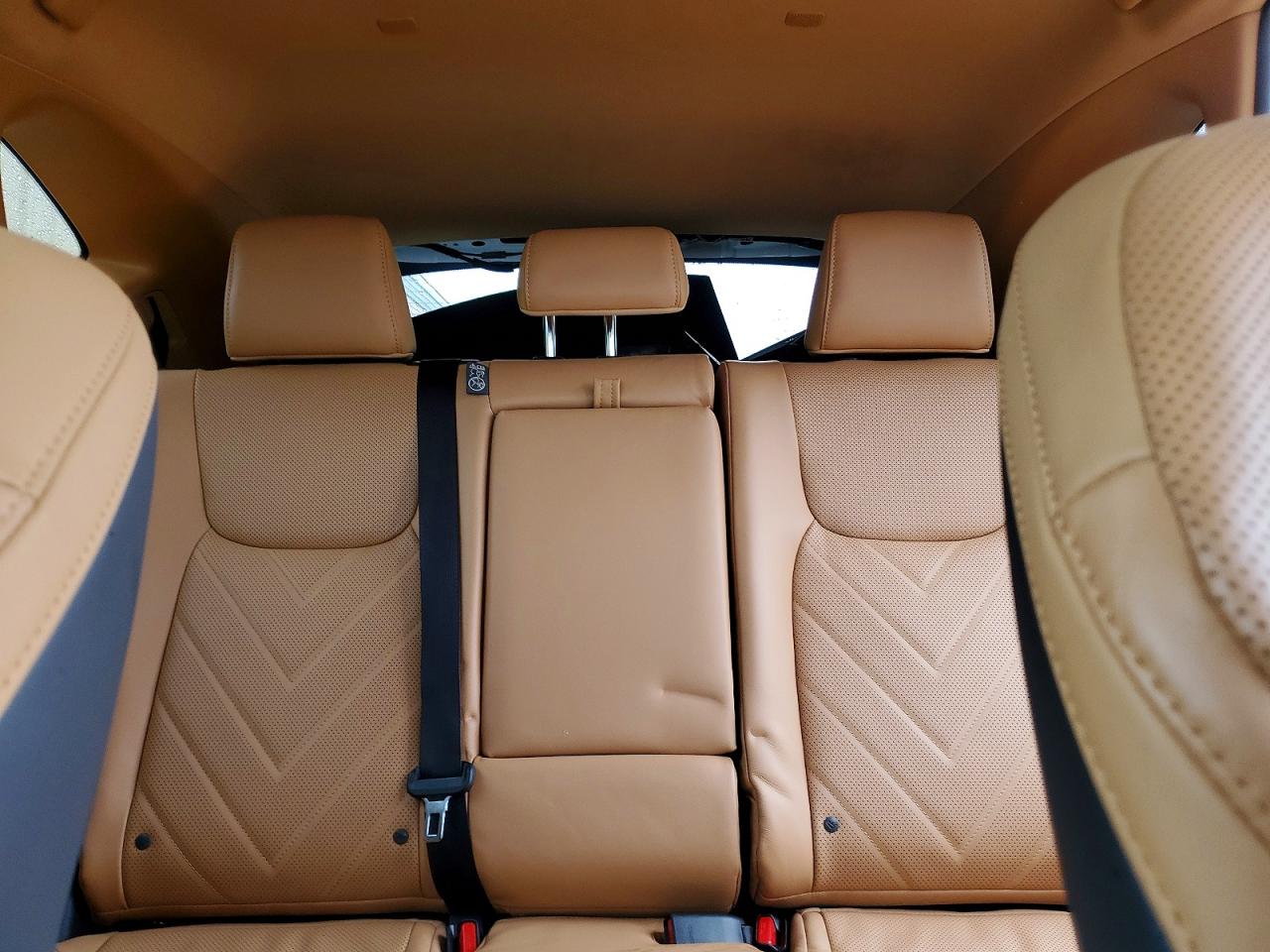 Lexus NX 350 Luxury