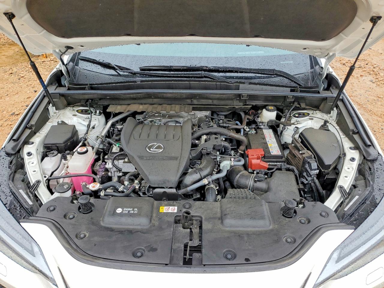 Lexus NX 350 Luxury