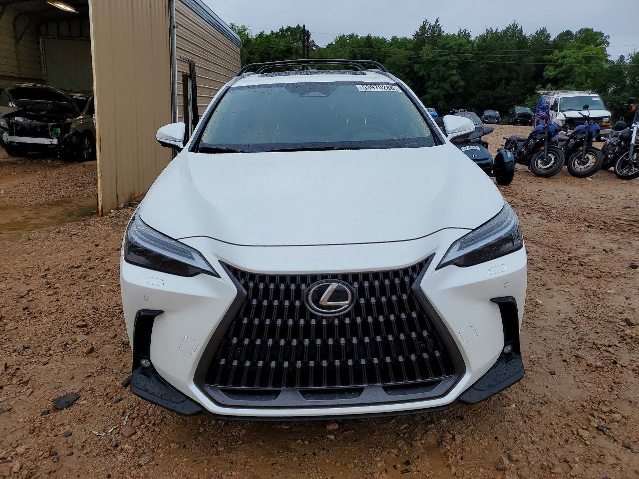 Lexus NX 350 Luxury