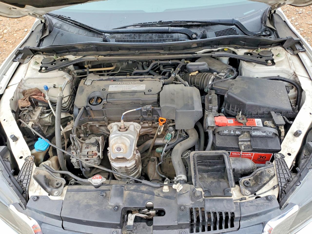 Honda Accord Exl