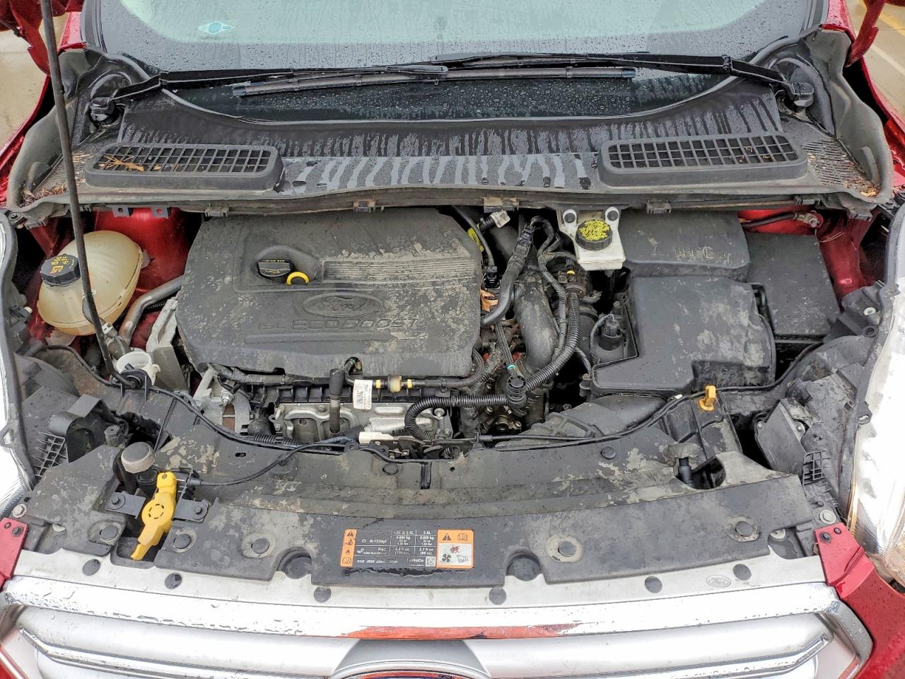 Ford Escape Se